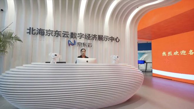 數(shù)創(chuàng)未來 北海如何以軟件開發(fā)為引擎，打造廣西高端服務(wù)業(yè)新標(biāo)桿